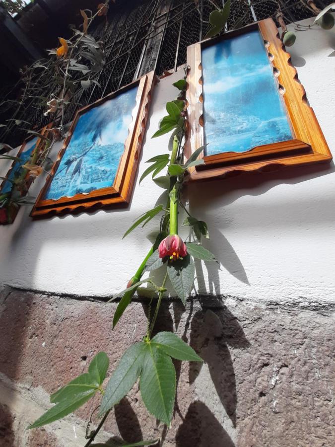 فندق La Casa De Laura - Plaza كوسكو المظهر الخارجي الصورة
