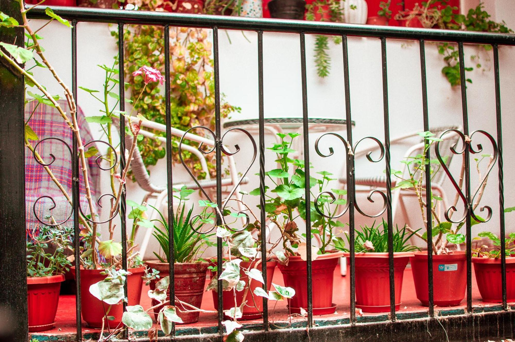 فندق La Casa De Laura - Plaza كوسكو المظهر الخارجي الصورة