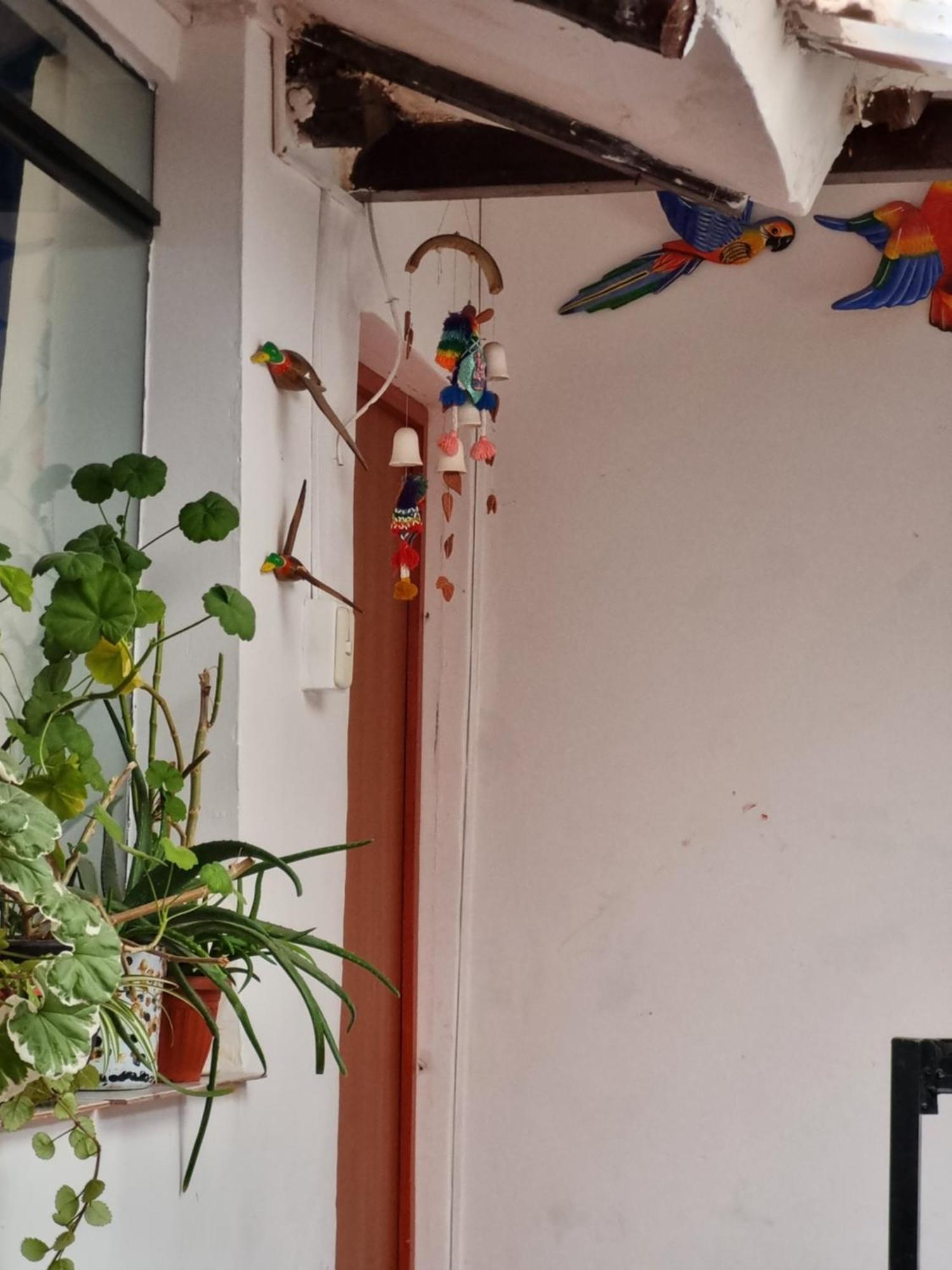 فندق La Casa De Laura - Plaza كوسكو المظهر الخارجي الصورة